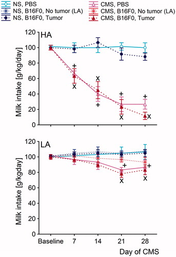 Figure 3. Milk intake test (MIT) in the high analgesia (HA) and low analgesia (LA) mice performed at baseline, 7 days, 14 days, 21 days, and 28 days after the start of chronic mild stress (CMS). The intake of milk in the CMS-B16F0 and CMS-PBS groups (as controls for the melanoma group) was significantly lower than in the NS-Melanoma and NS-PBS groups at 7, 14, 21 and 28 days after the start of CMS in the HA line and at 21 and 28 in the LA line. Post-hoc comparisons within in each line: +: (PBS-inoculated group from CMS conditions versus PBS-inoculated group from NS conditions); x: (B16F0-inoculated group from CMS conditions versus B16F0-inoculated group from NS conditions). Symbols indicate p < 0.05. In the HA line, each B16F0-inoculated group consisted of 20 mice. In the LA line, the B16F0-inoculated group from NS conditions consisted of 6 mice with tumors and 14 mice without tumors. In the same line, B16F0-inoculated groups from CMS conditions consisted of 10 mice with developed tumors and 10 mice without tumors. Each PBS-inoculated group from the HA line and the LA line consisted of 10 mice.