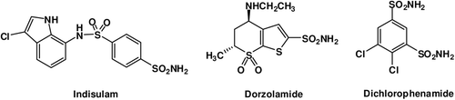 Figure 1.  Some clinically used sulfonamides (dorzolamide and dichlorophenamide) or agents in clinical development (indisulam).