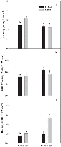 Figure 6 GS, GOGAT and GDH activities in the leaves of the two rice cultivars under different growing soil conditions. Acidic soil and normal soil indicate that the samples were collected from rice grown in acidic soil and normal soil, respectively. The bars indicate the standard error of the mean. Mean values for each treatment with different lowercase letters indicate significant differences by the LSD-test (p < 0.05 n = 4).