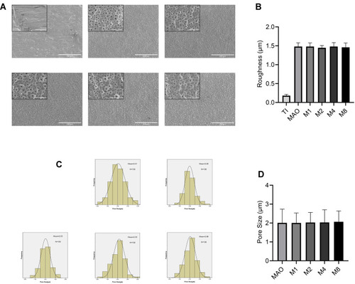 Figure 1 (A) SEM images of six sample surfaces. (B) The roughness of the five coatings (C) The frequency distribution of the pore size. (D) The pore size of the five coatings.