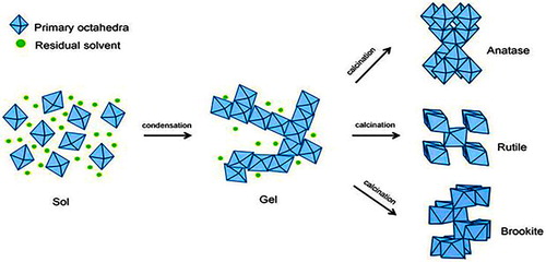 Figure 12. The hydrolysis, condensation and calcination process of the sol-gel method in synthesizing the crystalline jnanatase, rutile and brookite TiO2 nanoparticles. ( Citation92).