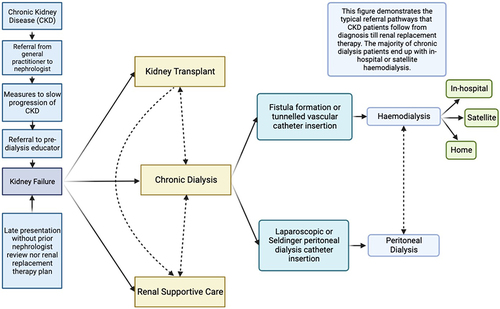 Figure 2 This figure demonstrates the standard clinical pathways for kidney failure patients in the Western Renal Service. The ideal pathway is early referral from the general practitioner to a nephrologist for pre-dialysis medical care (eg treatment with ACE/ARB inhibitors, SGTL2 inhibitors and other measures) and assessment by the pre-dialysis educator to provide education and determine the optimal renal replacement plan with a preference for encouraging home-based treatments. Planning for dialysis involves surgical referral for either the creation of a fistula for haemodialysis (including Doppler vascular mapping) or consideration of insertion of a peritoneal dialysis catheter (either by laparoscopy or the Seldinger method). Recently, there has been a marked increase in patients who present with kidney failure without a prior plan who often require insertion of a tunnelled vascular catheter for acute start haemodialysis. Additionally, these patients can commence acute dialysis through peritoneal dialysis catheter insertion using the Seldinger method. Once established on chronic dialysis, patients undergo peritoneal dialysis; or haemodialysis either in-hospital, at a satellite centre or at home. Other management pathways include kidney transplantation or renal supportive care, and importantly patients can transition between these options at any time.
