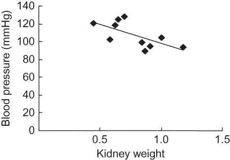 Figure 3. Correlation between blood pressure and right kidney weight in the offspring rats at 2 months.Note: There was a statistically significant negative correlation between blood pressure and kidney weight in both groups at 2 months of age (r = −0.697, p = 0.012).