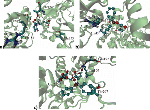 Figure 3.  Ligand on racemase enzyme allosteric site of: (a) l-GM, (b) d-DFB, (c) l-DFB on the RacE1 isoform, with some amino acid residues. Carbon atoms are colored cyan; oxygen atoms, red; nitrogen atoms, blue.