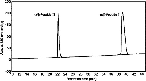 Figure 2.  Comparison of reverse phase high pressure liquid chromatography (RP-HPLC) retention profiles of α/β-peptides I and II. Conditions: C8-silica analytical column, linear gradient of acetonitrile in water (with 0.1% TFA) from 20 to 60% over 40 min (the gradient starts upon elution of the solvent front, which occurs approximately 5 min after injection). Ordinate shows absorbance at 220 nm.