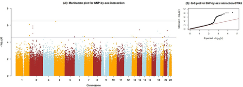 Figure 1 (A) Manhattan plot for the SNP-by-sex interaction GWAS. The X-axis indicates the chromosomal positions of each variant and the Y-axis shows the negative Log p-values. The blue horizontal line indicates the suggestive significance threshold (1x10−5),and the red horizontal line shows the genome-wide signficance threshold (5x10−8). (B) Quantile-Quantile plot showing the distribution of observed versus expected p-values. The genomic inflation factor, lambda (λ) = 1.025.