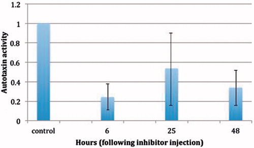 Figure 3. The ATX activity as function of time in the treated mice. It is important to point out that ATX activity is still inhibited over 60% at 48 h following the administration of a single dose of the drug.