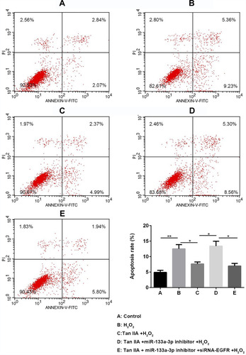 Figure 6 Flow cytometry results showed Tan IIA protected H2O2-induced H9c2 cells from apoptosis by miR-133a-3p/EGFR axis. Results of FCM analysis showed Tan IIA protected H2O2-induced H9c2 cells from apoptosis, which was partially attenuated by miR-133a-3p inhibitor but not miR-133a-3p inhibitor+siRNA-EGFR. *p<0.05, **p<0.01.