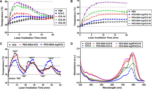 Figure 4 In vitro evaluation of the photothermal activity of the PEG-BSA-AgNP/ICG. (A) Temperature-versus-time profiles of the free ICG solution (at 5–30 μg/mL) after laser irradiation at 1.3 W. (B) Temperature-versus-time profiles of the PEG-BSA-AgNP/ICG dispersion (at 10–50 μg/mL as ICG) after laser irradiation at 1.3 W. (C) Temperature-versus-time profiles of free ICG, PEG-BSA-ICG mixture, and PEG-BSA-AgNP/ICG dispersion by laser irradiation at 1.3 W for three repeating cycles of a switch “on and off” mode. (D) UV-VIS spectra of ICG, PEG-BSA-ICG, and PEG-BSA-AgNP/ICG, before and after laser irradiation for 20 min.