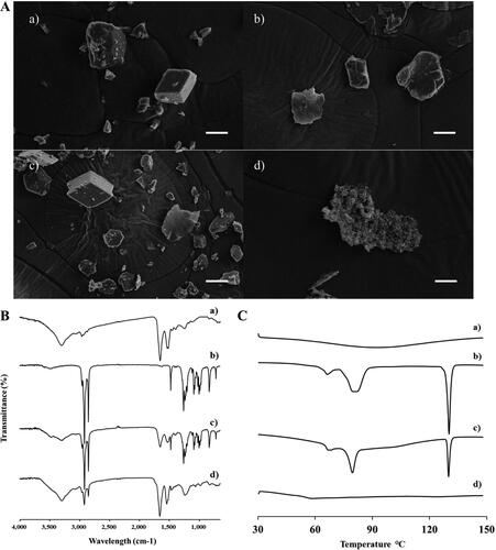 Figure 2. Characterization of INS–SOS complex. A: Scanning electron microscopy; (B) Fourier transform infrared spectroscopy; (C) differential scanning calorimetry thermograms. (a) INS; (b) SOS; (c) physical mixture of INS and SOS; (d) INS–SOS. Scale bar = 5 μm. INS, insulin; SOS, sodium n-octadecyl sulfate.