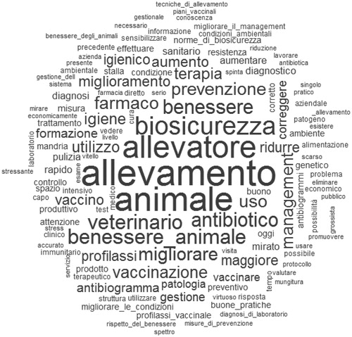 Figure 1. Word cloud of the strategies proposed by the cattle veterinarians. aWords with a greater number of occurrences included ‘Rearing farm’, ‘Animal’, ‘Farmer’, ‘Biosecurity’, ‘Veterinarian’, ‘Antibiotic’, ‘Animal welfare’, and ‘Welfare’.