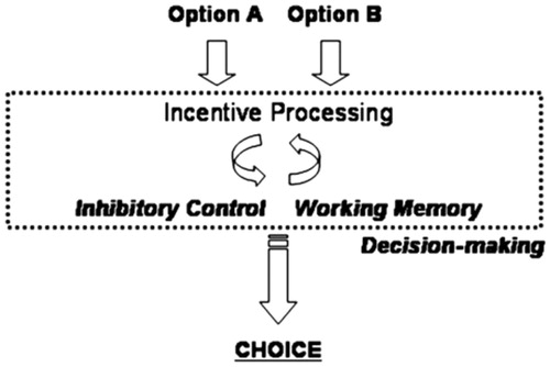 Figure 4. As presented by Geier and Luna [Citation111], a simple model emphasizing the interaction between incentive processing and basic cognitive control abilities in decision-making. Sub-optimal decision-making has been suggested to contribute to risk-taking behaviour. In the Geir and Luna model, immaturities in brain systems supporting how incentives are represented in the brain as well as in specific cognitive control systems like working memory and inhibitory control are proposed to underlie poor decision-making. As pertaining to SVT performance, damage within inhibitory control, working memory and/or incentive processing systems may result in SVT errors.