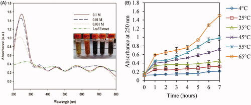 Figure 1. UV-visible spectra of aqueous leaf extract and three concentrations (0.1, 0.01, and 0.001 M) of FeCl2.4H2O which were added to leaf extract (a) and increasing pattern of absorbance at 250 nm under selected salt concentration (0.1 M) of FeCl2.4H2O at various temperatures (b).