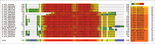 Figure 6. T-Coffee Alignment of Tpl94D orthologs with MST35Ba and MS35Bb orthologs. A T-Coffee alignment of the whole protein Tpl94D conserved region and the whole proteins of the Drosophila protamine-like proteins found in the 12 sequenced Drosophila species shows high conservation of the conserved regions with a T-Coffee consensus score of 72. D. pseudoobscura GA18970s first exon (GA31252) was used due to size length of the whole protein being 569 amino acids.