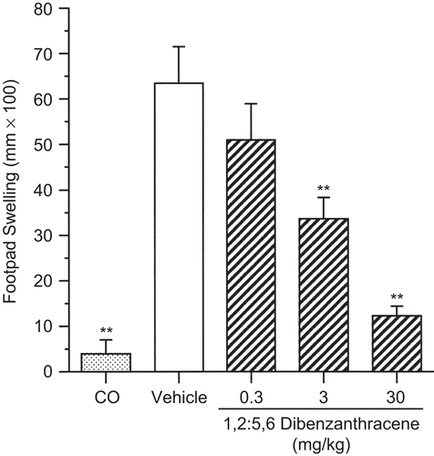 Figure 5.   Suppression of the delayed-type hypersensitivity response following a single pharyngeal aspiration (pa) of 1,2:5,6-dibenzanthracene (DBA). Mice received either DBA (0.3, 3, or 30 mg/kg) or vehicle (VH) in a single pa, followed by sensitization to C. albicans with subsequent challenge to chitosan antigen 8 days later. One group of mice remained unsensitized but received the challenge with the remaining groups (CO = challenge only). Results shown depict footpad swelling measured 24 h following challenge. Values represent the mean (± SE) derived from eight animals; **p < 0.01.