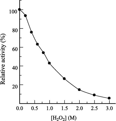 Figure 2 Inhibition of the enzyme in different concentration of H2O2 solution. Conditions were as same as in Figure 1 except that pNP-β-D-GlcNAc concentration was 0.5 mM with different concentrations of H2O2. The enzyme final concentration was 0.020 μM.