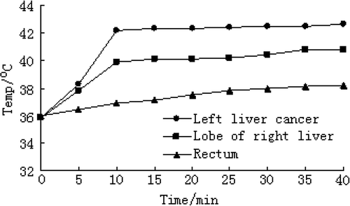 Figure 4. The time–temperature relationship curve in tumor and other sites in group D.