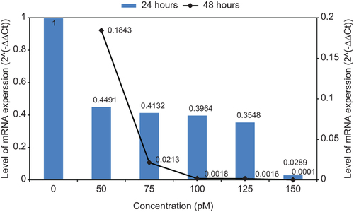 Figure 6. TERT mRNA expression level in different concentration and the effect of 48h treatment on gene expression. When concentration increased from 50 to 150 pM, for 24 h treatment, the gene expression level was decreased from 0.4491 to 0.0289, and for 48 h treatment, it was decreased from 0.1843 to 0.0001.