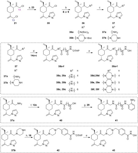 Scheme 3. Synthetic routes of the title compounds 39a–f, 41 and 43. Reaction conditions and reagents: (a) Cs2CO3, DMF, 23, 45 °C, 10 h; (b) Cs2CO3, DMF, 8 or 9, 80 °C, 8 h; (c) HCl-Dioxane (4 M), rt, 8 h; (d) EDCI, HOBT, DIPEA, DMF, 14a–c, rt, 5 h; (e) TsOH·H2O, CH3OH, rt, 8 h; (f) (i) EDCI, HOBT, DIPEA, DMF, 12c, rt, 5 h; (ii) NaOH (aq), CH3OH, rt, 2 h; (g) EDCI, HOBT, DIPEA, DMF, 29, rt, 5 h; (h) DIPEA, DMF, 16, 60 °C, 6 h.