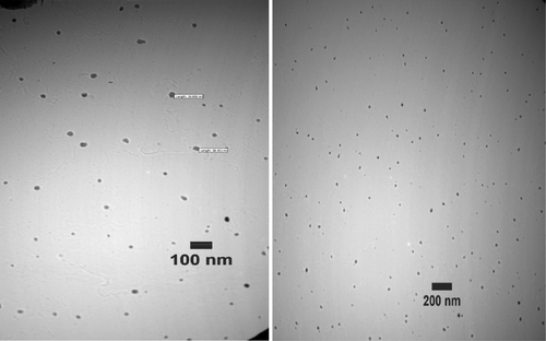 Figure 7. TEM micrographs of the produced NPs by 70% hydroalcoholic extract of A. officinalis after 24 h biotransformation.