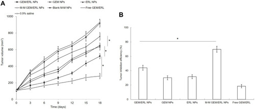 Figure 6 In vivo tumor growth curves (A) and tumor inhibition efficiencies (B). M-M GEM/ERL NPs group showed the most efficient tumor growth inhibition, and GEM/ERL NPs also suppressed tumor growth effectively compared to GEM NPs, ERL NPs and free GEM/ERL. Data are presented as mean ± standard deviation (n=10). *P < 0.05.