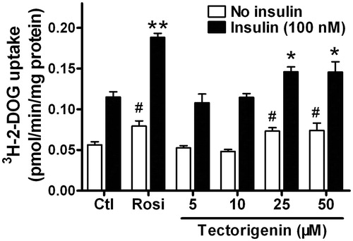 Figure 5. Tectorigenin promoted basal and insulin-stimulated glucose uptake in 3T3-L1 adipocytes. Differentiated 3T3-L1 adipocytes were treated with the indicated concentrations of tectorigenin. After 24 h incubation, 2-DOG uptake in adipocytes was measured in the absence or presence of 100 nM insulin for 30 min. Data (mean ± SEM) are representative of three independent experiments. Rosi, rosiglitazone (1 μM). #p < 0.05 versus the control group without insulin; *p < 0.05 and **p < 0.01 versus the control group with 100 nM insulin.
