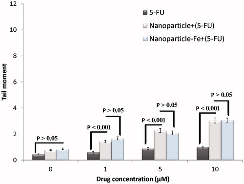 Figure 6. Effects of different concentrations of 5-FU or 5-FU-loaded nanoparticles with and without iron core on induced DNA damage of HT-29 spheroid culture cells. Mean ± SEM of three experiments.