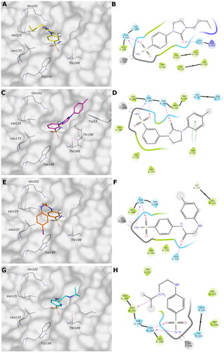 Figure 3. (A, C, E, and G) Predicted 3D binding mode and (B, D, F, and H) corresponding ligand interaction diagram of most selective ligands (A, B) 9c yellow, (C, D) 12c magenta, (E, F) 4b orange, and (G, H) 10a cyan, within VchαCA (light grey). The compounds are represented as sticks, and the protein surface is visualised.