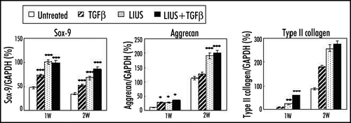 Figure 1 Effects of LIUS on the chondrogenic differentiation of human MSCs in alginate layer culture. The expression of chondrogenic markers such as Sox-9, aggrecan and type II collagen was measured at one and two weeks by RT-PCR analysis. Relative band intensities normalized against those of GAPDH were presented from five independent experiments. *p < 0.05, **p < 0.01 and ***p < 0.001.