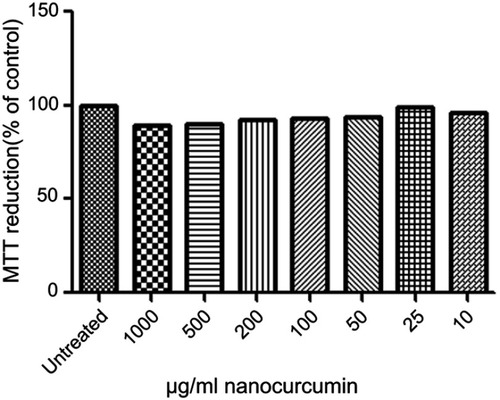 Figure 10 Influence of the different concentrations of Nano-curcumin on the viability of human epithelial cell lines (A549) after 24-hr incubation. The relative cell viability (%) was computed by this formula: [A]test/[A]control ×100. The experiment was performed 2 times in duplicates.