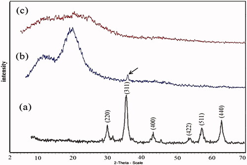 Figure 1. X-ray diffraction spectra of Fe3O4 nanoparticles (a) Fe3O4/PSt (b) Fe3O4/PSt-g-PANi.