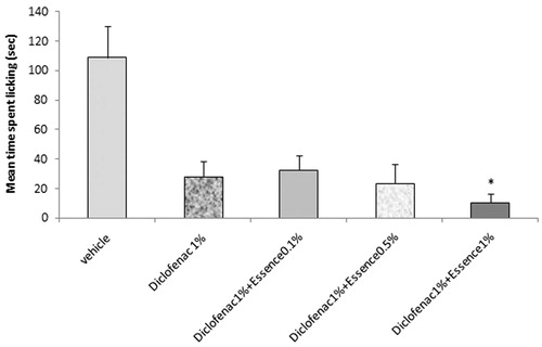 Figure 5. The effect of the presence of rosemary essential oil (0.1, 0.5, and 1%) in Na Diclofenac (1%) topical preparation on the first phase (0–5 min) anti-nociception in the formalin test; values are mean ± SD (n = 6 animals per group). *p < 0.05 (Student–Newman–Keuls test).
