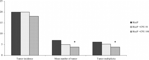 Figure 1 Chemopreventive effect of Cissampelos pareira. extract (CPE) on benzo(a.)pyrene [B(a.)P]-induced gastric cancer in mice. (Values are mean ± SEM, n = 6 mice. *p < 0.02 compared with respective B(a.)P group.)