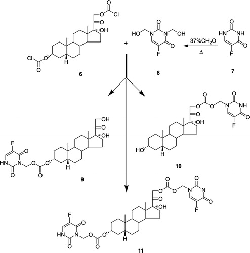 Figure 2 Coupling of 3α-O, 21-O-(dichloroformyl)-5β-pregnane-17-ol-20-one (6) and N1,N3-Bis-dihydroxymethyl 5-fluorouracil (8) to produce O3-(N1-methyloxycarbonyl-5-fluorouracil)5-β-pregnane-17-ol-20-one (9),O21-(N1-methyloxycarbonyl-5-fluorouracil)5-β-pregnane-17-ol-20-one (10), and O3-, O21-Di(N1-methyloxycarbonyl-5-fluorouracil)5-β-pregnane-17-ol-20-one; (THS-BIS-5FU) (11).