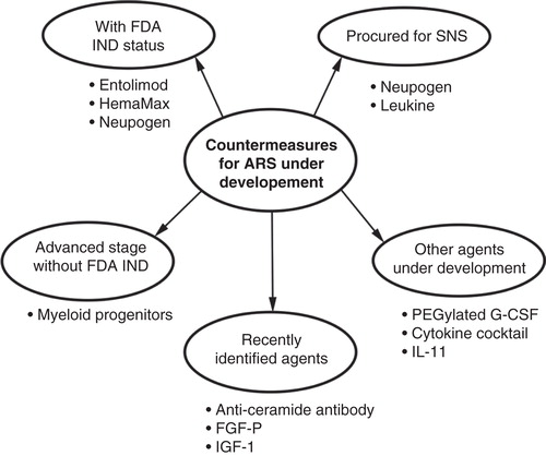 Figure 1. Schematic representation of the biological agents as radiation countermeasures under development. Currently, there are three agents with FDA IND status: entolimod, HemaMax and Neupogen. Neupogen and Leukine have been procured for SNS availability and are expected to obtain FDA EUA in the near future. PEGylated G-CSF is not currently stocked in the SNS but may also obtain FDA EUA approval once filgrastim is approved. Additional countermeasure candidates, at various developmental stages, are presented.