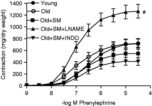 Figure 1. Concentration-response curves for phenylephrine in intact endothelium aortic rings of control rats (young) and of old rats. Some old animal rings were incubated with SM (50 mg/L), SM + l-NAME (100 µM) or SM + INDO (10 µM). Values are mean ± SEM of eight or nine rings. #p < 0.001 versus young group.