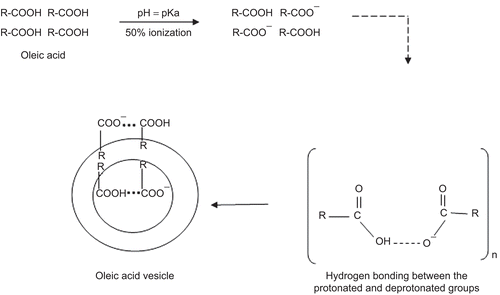 Figure 10.  Schematic presentation showing the mechanism of the fatty acid vesicles formation (R = hydrocarbon chain C18, n = cvc).