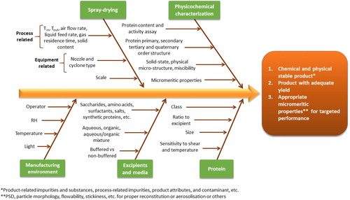 Figure 15. Overview of the complex relationship of parameters affecting the spray-drying of protein pharmaceuticals.