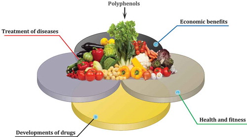 Figure 1. A summary of polyphenols’ benefits for human society.