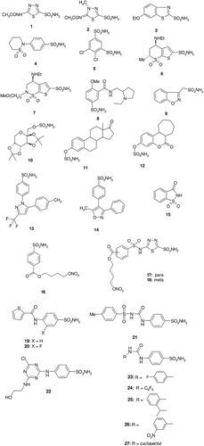 Figure 1.  Clinically used/preclinical sulphonamide and sulphamate CAIs 1–15 and compounds developed in the last period (16–27).