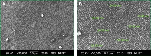 Figure 4 SEM images of green synthesized CeO2 NPs. (A) Magnification ×30,000; (B) Magnification ×50,000.Abbreviations: NPs, nanoparticles; SEM, scanning electron microscopy; SEI, scanning electron-microscopy instrument; NUST, National University of Sciences and Technology.