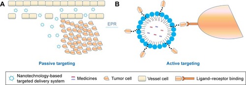 Figure 5 Passive (A) and active (B) targeting of tumors.Abbreviation: EPR, enhanced permeability and retention.