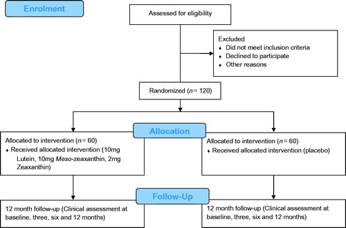 FIGURE 2. Central Retinal Enrichment Supplementation Trials (CREST) Trial 1 consolidated statement of reporting trials flow diagram.