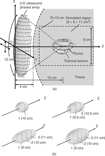 Figure 1. (a) Geometry of a 2D ultrasound phased array heating system. This 2D phased array was assumed to be mounted on a positioning system that can shift the array in the x and y directions. The target volume can be divided into several rectangular subregions and then heated sequentially; (b) four types of subregions are formed by using different numbers of scanned focal depths (in dashed regions). The former three were in 1 × 1 cm2 of cross-sectional area with 1, 2, and 3 cm in length, respectively. The fourth case had 1.5 × 1.5 cm2 of cross-sectional area with 3 cm in length.