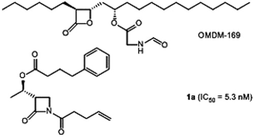 Figure 2. β-Lactone and β-lactam inhibitors of hMAGL and hFAAH, respectively.
