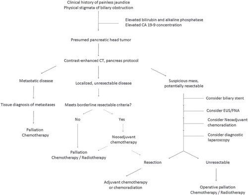 Figure 1. Algorithm depicting the management of pancreatic cancer.