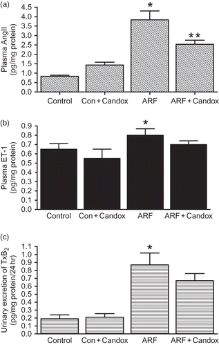FIGURE 4.  Plasma level of AngII (a), ET-1 (b), and urinary excretion of TxB2 (c) in control (Control) and ARF rats treated with (ARF + Candox; Con + Candox) or without (ARF) candoxatril (30 mg/kg/day; orally, 3 weeks) (n = 5 rats per group). Values are mean ± SEM. *p < 0.05 versus control; **p < 0.05 versus ARF.