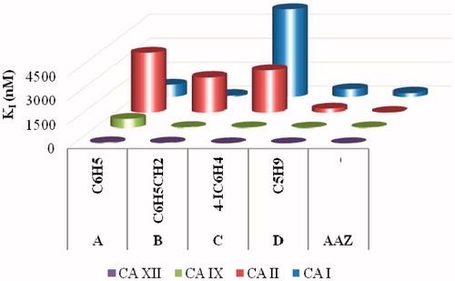Figure 2. Graphical comparison of inhibition constants of the ureido-sulfonamides A–D previously reported and the standard drug AAZ against hCA I, II, IX and XII.