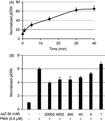 Figure 7. JaZ-30-mediated phosphorylation of ERK1/2 in B16 cells. (A) Kinetics of ERK1/2 phosphorylation in B16 cells treated with 0.5 µM PMA. (B) Inhibition of ERK1/2 phosphorylation (pERK) by different concentrations of JaZ-30 compound. Cells B16 were treated with JaZ-30 for 3 h and then for 30 min with 0.5 µM PMA. Calculation of normalized pERK (phosphorylated ERK1/2 to the total ERK) presented in the section Materials and methods. Each datum represents mean ± standard deviation of triplicate experiments, p < 0.001, statistically significant.