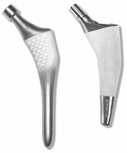 Figure 1. The implants: the ABG-I stem on the left and the Unique stem on the right.